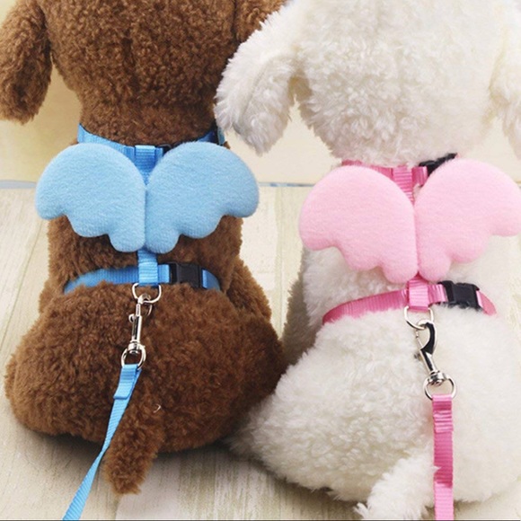 Unicorn Pegasus wing harness leash costume dog pet bat Halloween - Picture 1 of 1